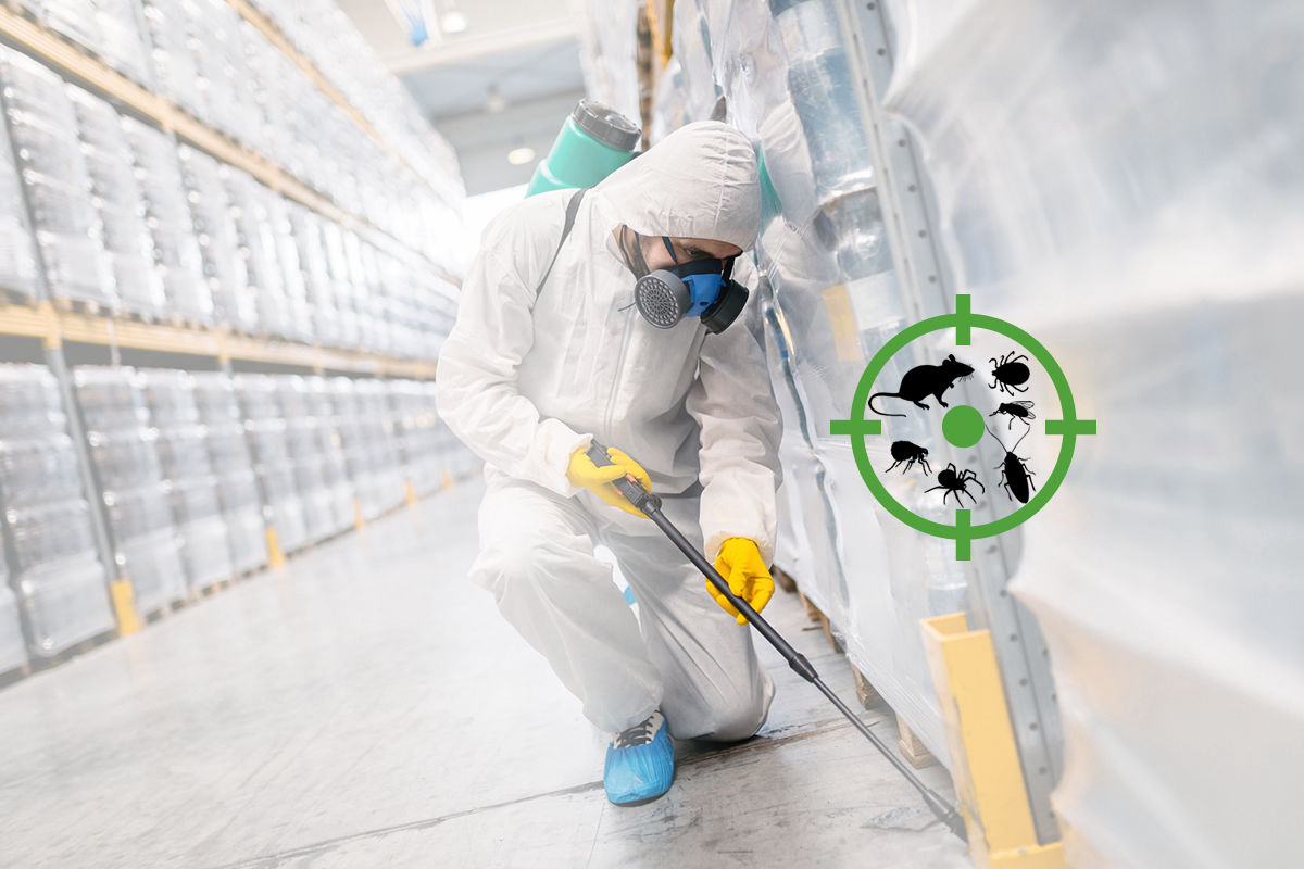 Fumigación Industrial - Amezquita